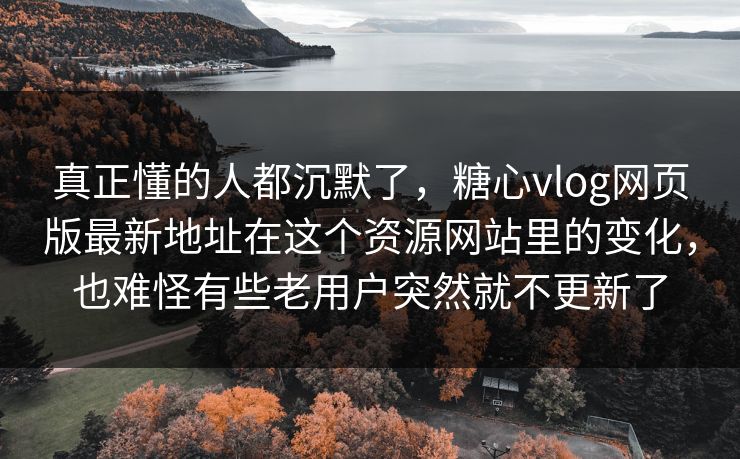真正懂的人都沉默了，糖心vlog网页版最新地址在这个资源网站里的变化，也难怪有些老用户突然就不更新了
