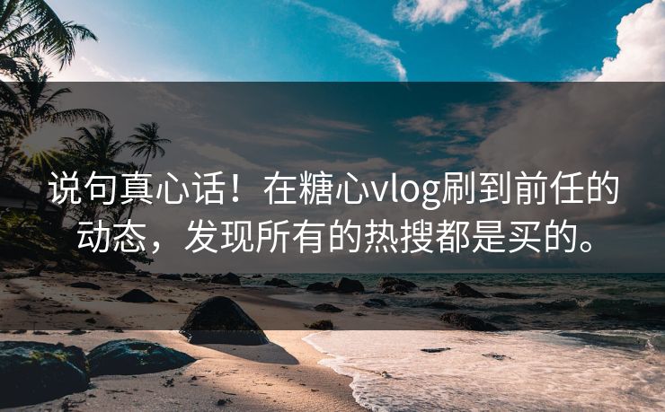 说句真心话！在糖心vlog刷到前任的动态，发现所有的热搜都是买的。