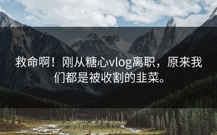 救命啊！刚从糖心vlog离职，原来我们都是被收割的韭菜。
